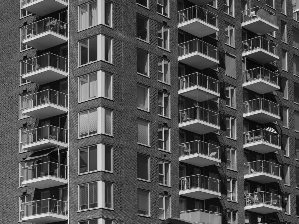 pexels haberdoedas 33431236